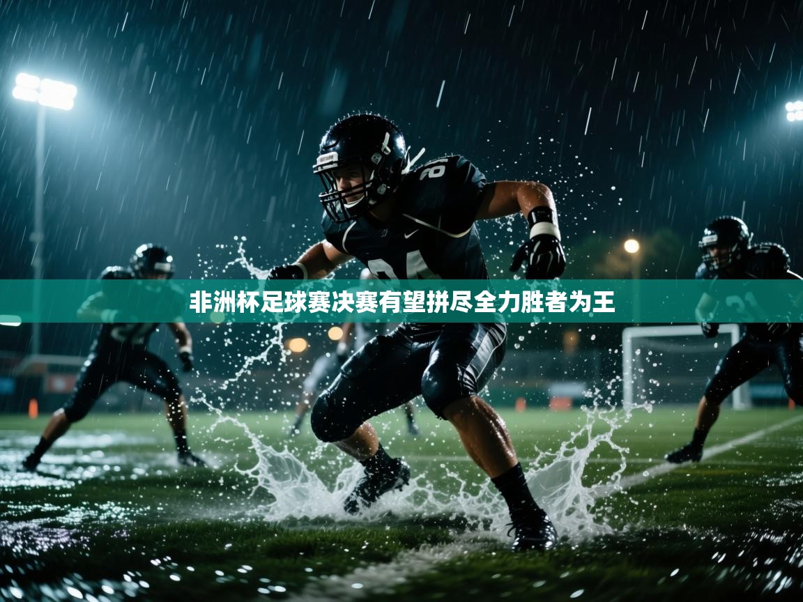 非洲杯足球赛决赛有望拼尽全力胜者为王