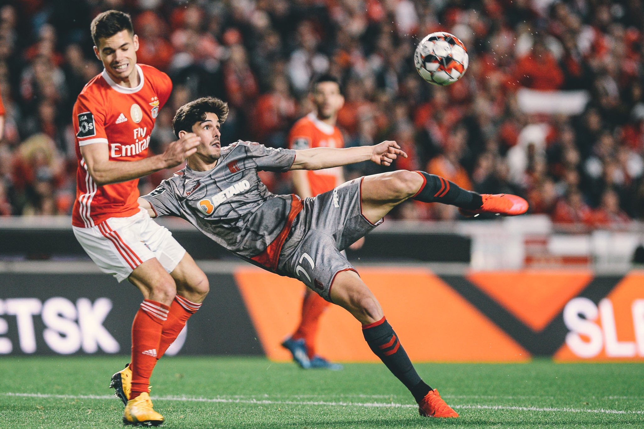 半岛体育下载入口官网-本菲卡惜败被淘汰，支持者心灰意冷的简单介绍