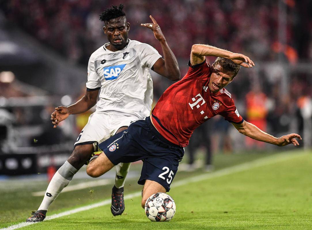 半岛体育官网安全-霍芬海姆实力逐渐凸显，成为黑马球队