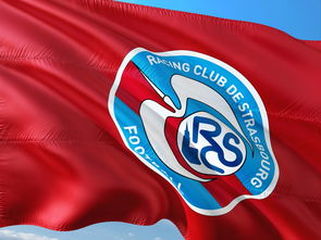 半岛体育app下载-帕尔梅拉斯赛前体能检测通过，争冠筹备顺利